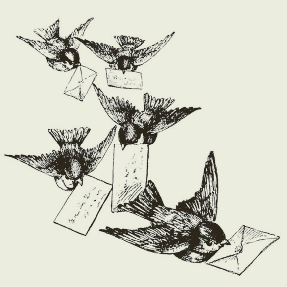 Kelly - Picture 8 of 11